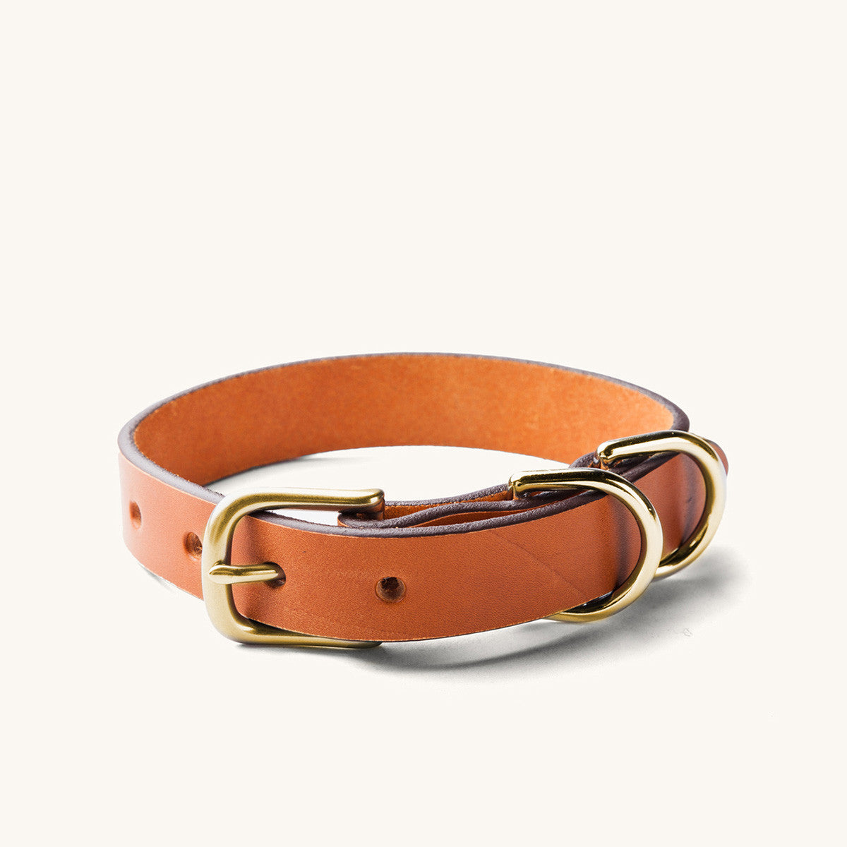 Classic Canine Collar - Saddle Tan