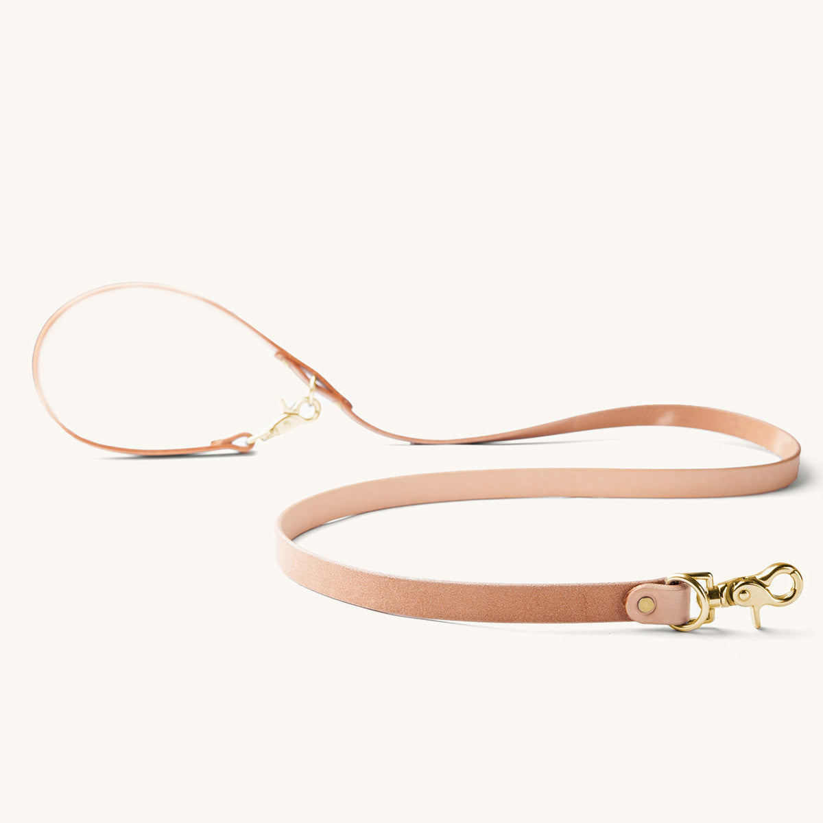 Convertible Canine Lead